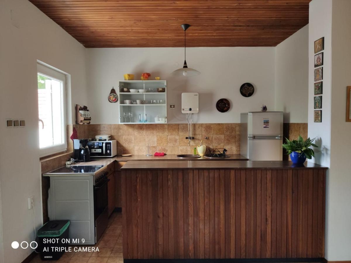 צזריקה Danica Holiday House מראה חיצוני תמונה