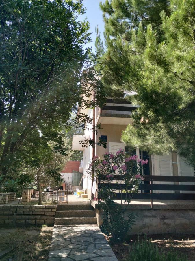 צזריקה Danica Holiday House מראה חיצוני תמונה