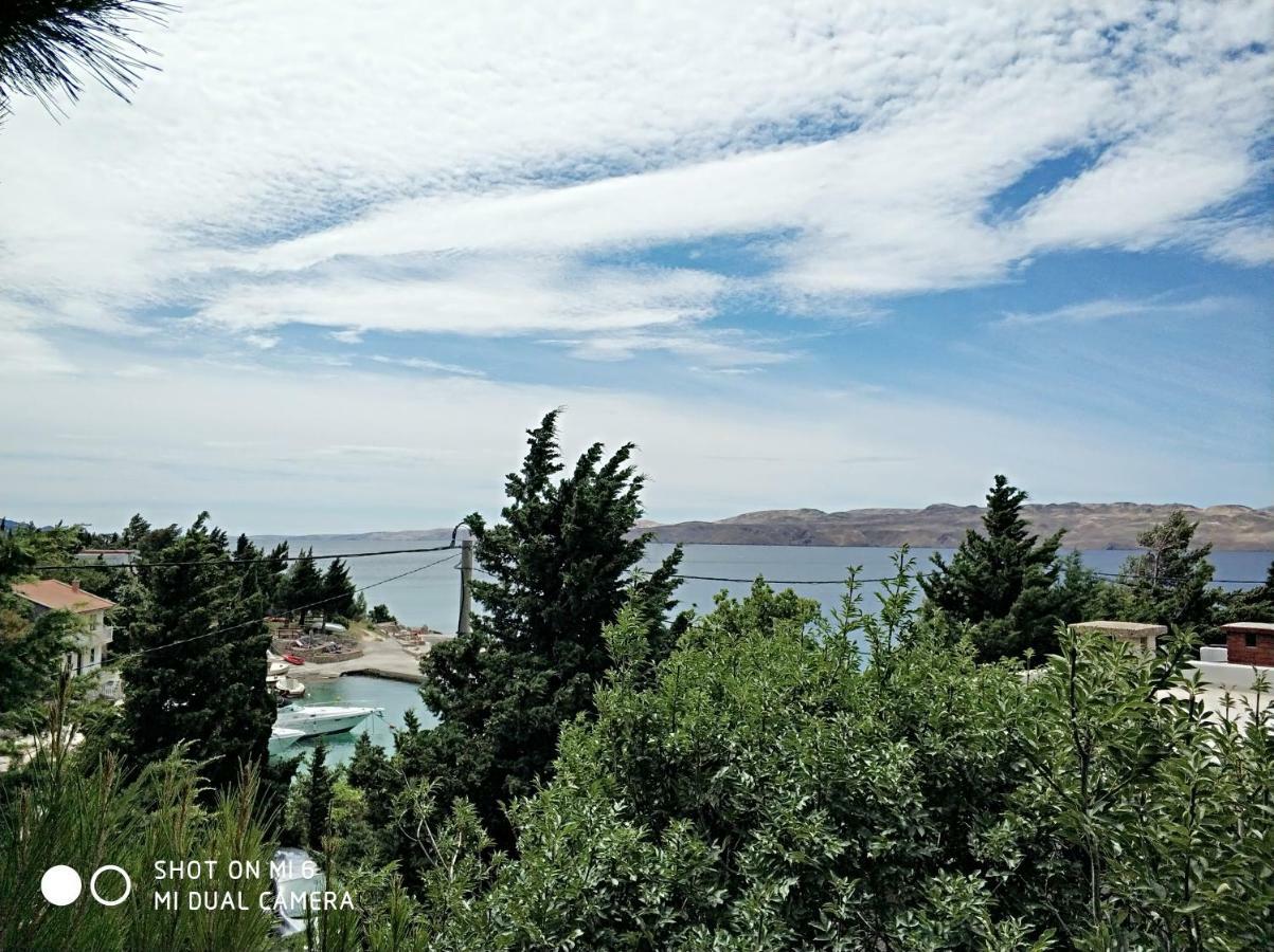 צזריקה Danica Holiday House מראה חיצוני תמונה