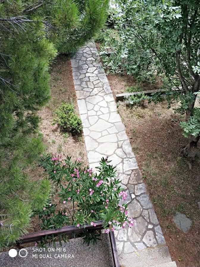 צזריקה Danica Holiday House מראה חיצוני תמונה
